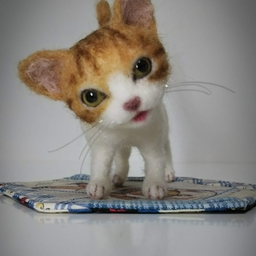 あのこのあしおと