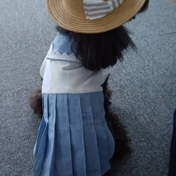 crea-nene