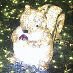 あき虎