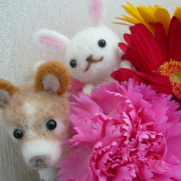 lovelapin