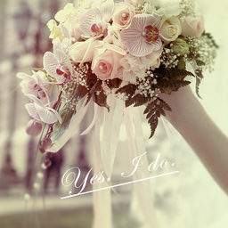 angelwing ★