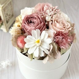 and botanical life