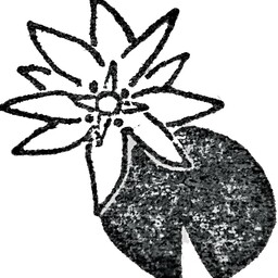 Soleil lunatique 