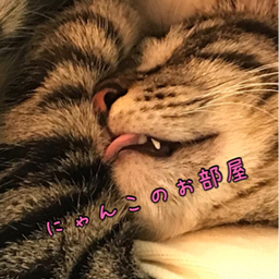 nyankoroom