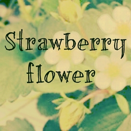 Strawberry flower❀