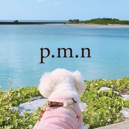 p.m.n