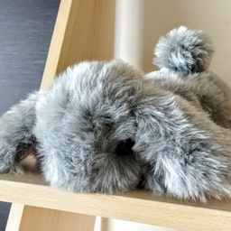 ぬくのこ