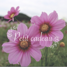 Petit cadeau