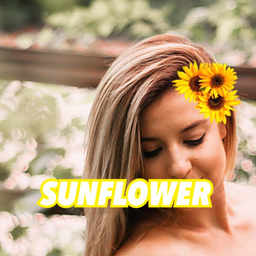 sunflowerki