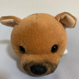 CaZOO.co