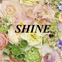 shine3310