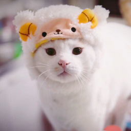 tsuu