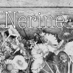 nerine-hf