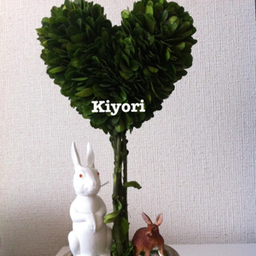 kiyori