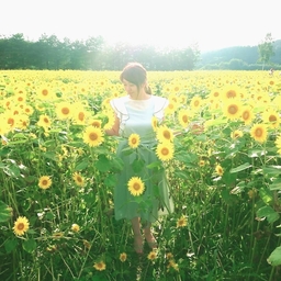 n-flower-rei