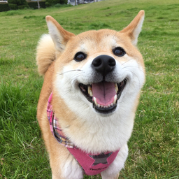 yumohiyo