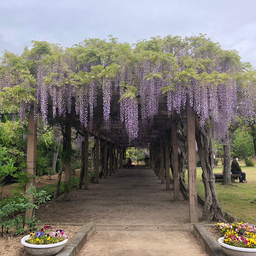 e.kタロット占いの家