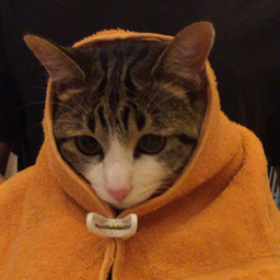 megu-choko66