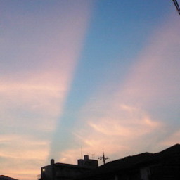 skyroad~tokko~