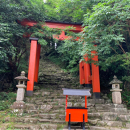 koyuku1337