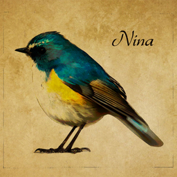 nina japan