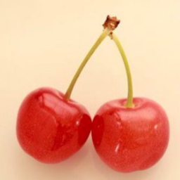 cherrycherry