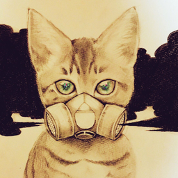 ゆなこ