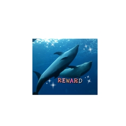 REWARD
