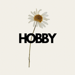 hobby