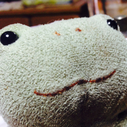 coconne