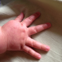 petit-tette