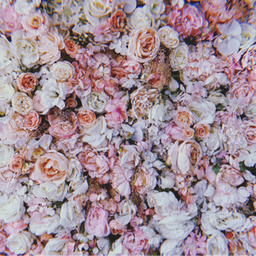 Flower moon