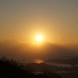 tokihanachi