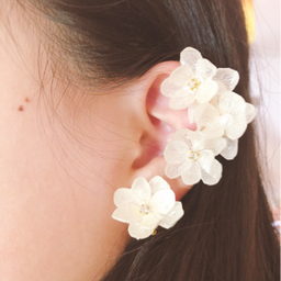 Ayu Accessory