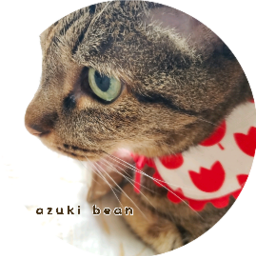 azuki bean