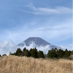 mitsuwo1999