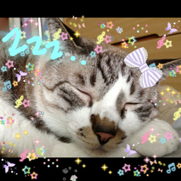 おばばちゃま