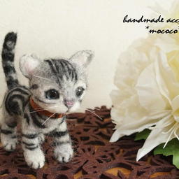 mococo