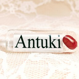 Antuki