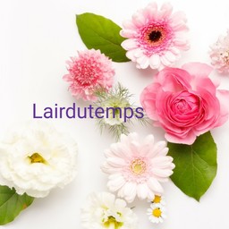 L'Air du Temps