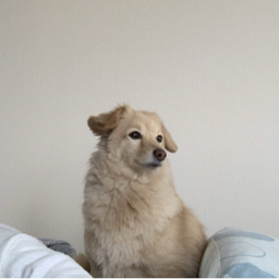 ♈︎