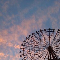 つきみ つゆくさ