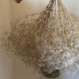 sakkomaruko
