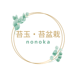 苔玉・苔盆栽　nonoka