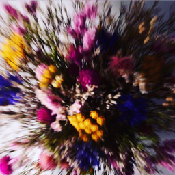 枯花_coca