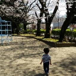 ponta0308