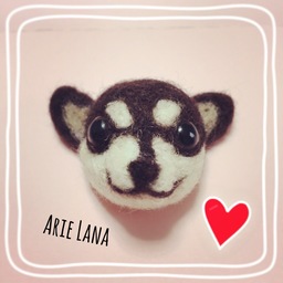 Arie Lana