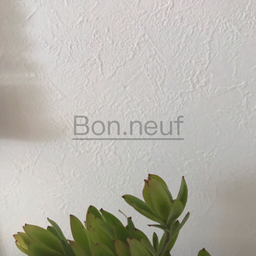 .Bon.neuf.