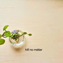 nrnometier