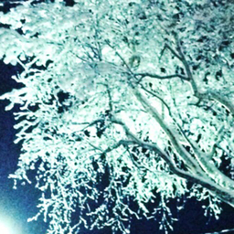 love snow♡*・°